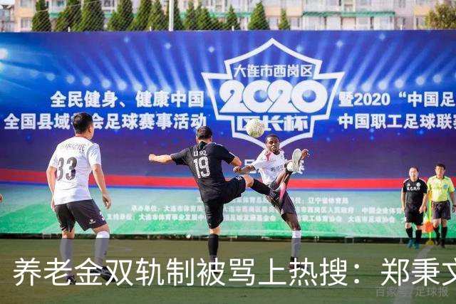 养老金双轨制被骂上热搜:郑秉文背的,是整代人的账