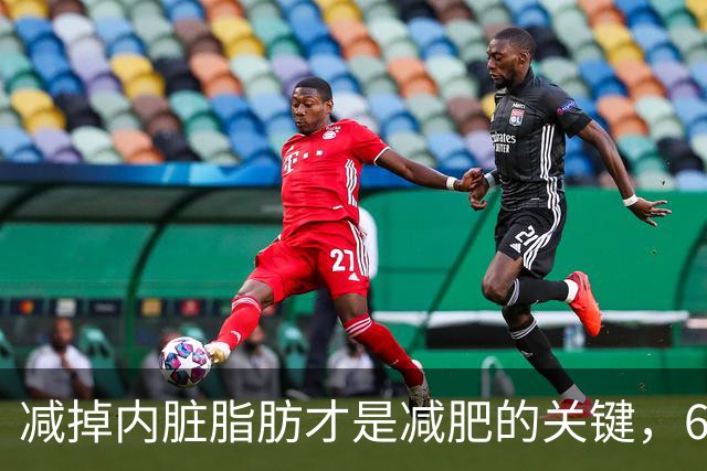 减掉内脏脂肪才是减肥的关键，6个方法让体脂率轻松掉10%！